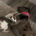 Erin Leigh - @raven_finley_odin - Instagram