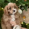 Finley_RavenH20 - @finley_ravenh20 - TikTok