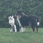 Raven & Finley - @raven.et.finley - Instagram