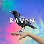 อ่านไพ่กับเรเว่น 🔮🌟🌈 - @raven_thefortuneteller - Instagram