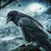 ravenhill - @raven_hill - TikTok