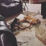 @raven.levi2022 - Instagram
