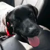 Raven Rivera - @sus.bae.raven - TikTok