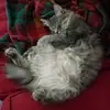 raven.rivera - @raven.rivera63 - TikTok