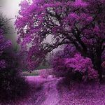Raven Rivers - @heart_raven_ - Instagram