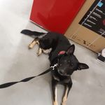 Raven Rollins - @ravensjourney2life - Instagram