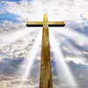Raven Warren429 - @follow_believegod - TikTok