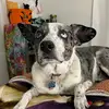 Raven - @raven_wolfe - TikTok