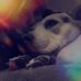 Raven Rayn Wolfe - Facebook