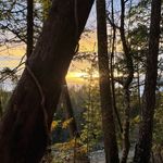 Raven Woods - @ravenwoods_halfmoonbay - Instagram