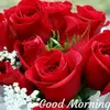 Ravimalik - @ravindermalik872 - TikTok