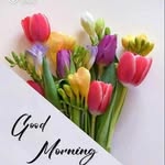 Ravi Oberoi - @love_ravi_456 - Instagram
