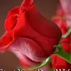 Ravi Sheth - @ravisheth51 - TikTok