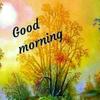 Vicky gill - @ravinderpallgill_06 - TikTok