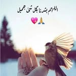 Rowanh Rowanh - @_rawan_haidar - Instagram