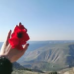 Rawan Mustafa - @rawan.moustafa.927 - Instagram