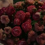Rawan Mustafa - Facebook