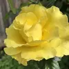 Raxa Patel - @raxa.patel - TikTok