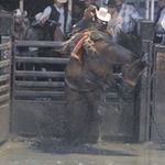 Billy Alford - @billy.ray.alford - Instagram