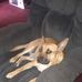 Ray Anderson - Facebook