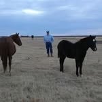 Ray Archer - @archer8203 - Instagram