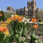 Raynor Library - @marquetteraynor - Instagram