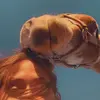 DezarayJo - @dezarayasbury - TikTok