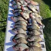 RaymondAsburyCrappieFishing - @raymondasburyfishing - TikTok
