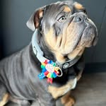Ray Ashby - @rayashby1965 - Instagram