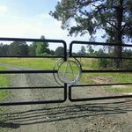 Mary Ray Askew - @maryrayaskew - Instagram