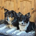 Ray Askew - @rhejpaskew - Instagram
