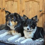 Ray Askew - Facebook