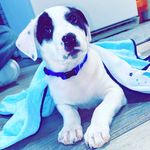 Jasper Ray Moore - @jasper_ray_moore - Instagram