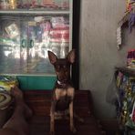 Ray Asuncion - Facebook