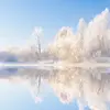Ice ❄️ - @rayatwood - TikTok