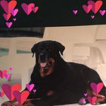 Ray Judy Atwood - @ratwood758 - Instagram