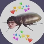 Ray Augustine - @ray_rat12 - Instagram