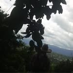 Ray Avalos - @ray_avls - Instagram