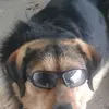 MonyaR_Jumbo - @raybacho - TikTok