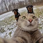 Raybach - @raybach.ru - Instagram