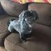 Ray Bachmann - Facebook