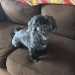 Ray Bachmann - @ray.bachmann.5 - Instagram