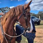 Ray Bacon - @ray173618 - Instagram