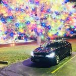 Ray Bacon - @29trips - Instagram