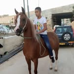 Rayyan bader - @rayyan.bader - Instagram