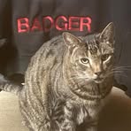 Ray Badger - Facebook