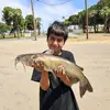 Anthony Ray Baeza - @anthony.ray.baeza - TikTok