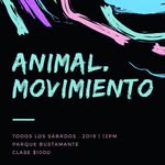 Ray Baeza - @animal.movimiento - Instagram