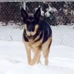 Bobby Ray Bagwell - @bobbyraybagwell - Instagram