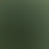 Rayshell Bagwell - @rayshell.bagwell - TikTok